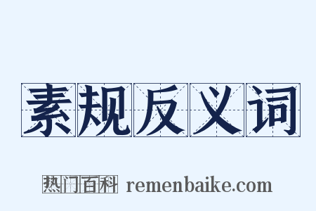 素规反义词是什么意思的图片